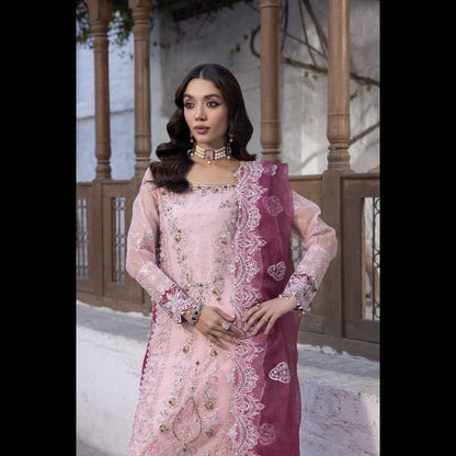 ORGANZA EMBROIDERED WITH HAND WORKS ACCESSORIES 3 PC SUIT