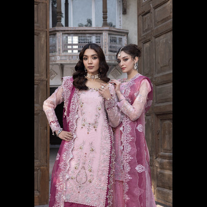 ORGANZA EMBROIDERED WITH HAND WORKS ACCESSORIES 3 PC SUIT