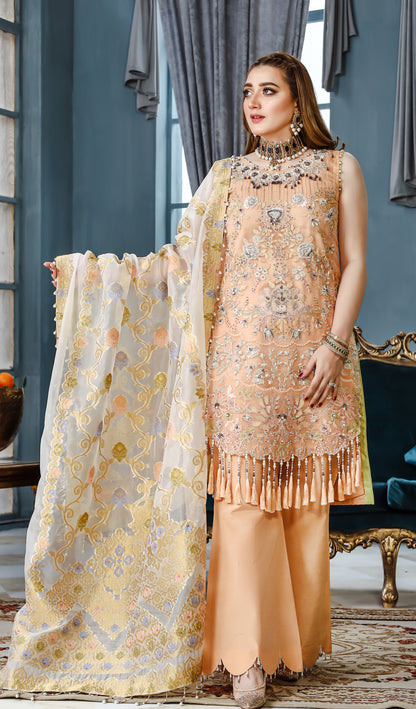 ORGANZA EMBROIDERED 3 PC SUIT - CHOICE OF 4 VARIOUS BEAUTIFUL COLOURS