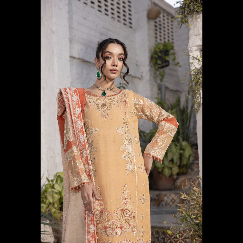 ORGANZA EMBROIDERED 3 PC LADIES SUIT